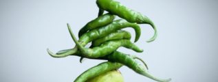 Lemon and green chilies to protect from tone and totke