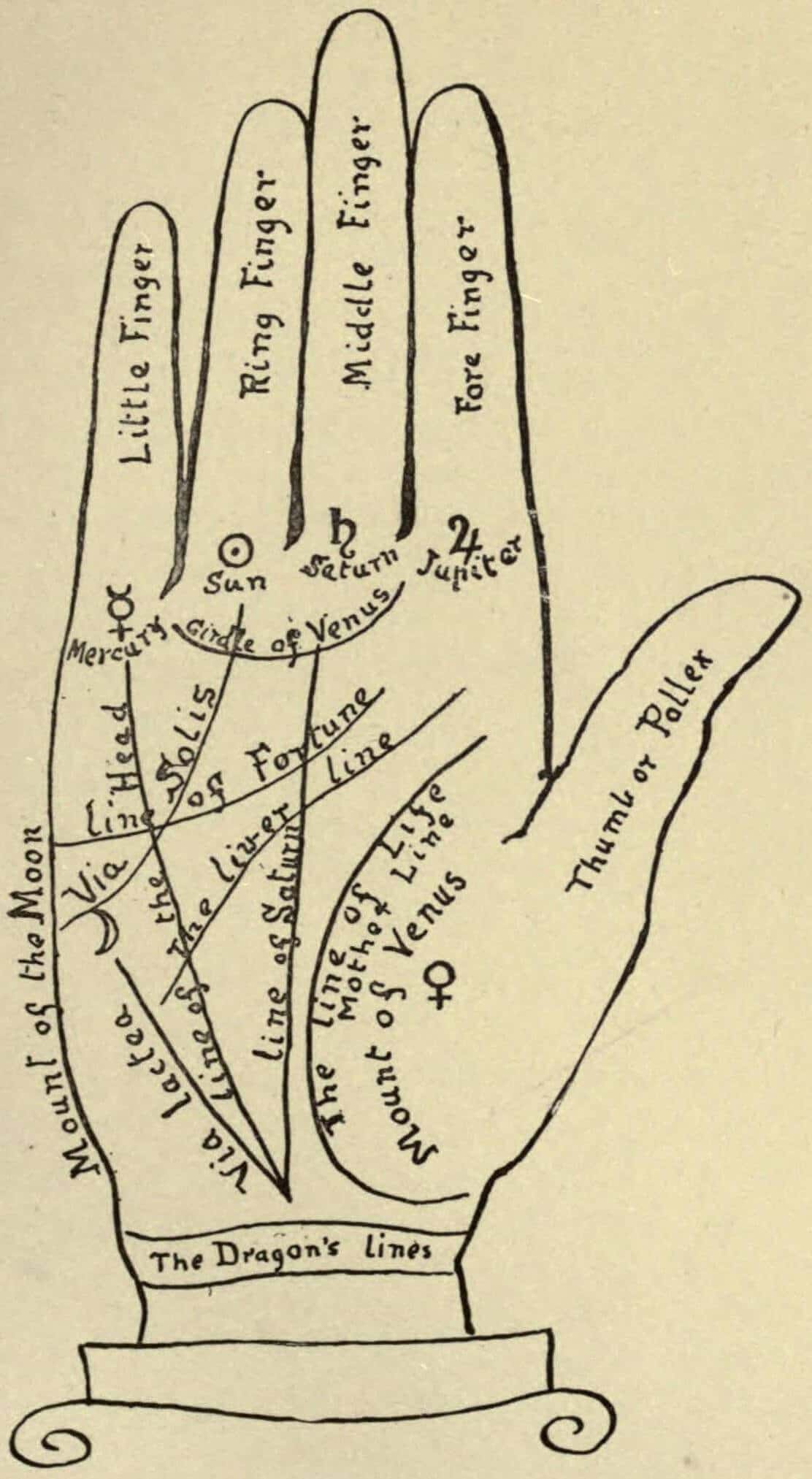 palmistry