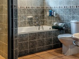 Vastu For Toilet 6 Important Tips On Toilest Vastu You Must Not Ignore   Vastu For Toilet 300x225 